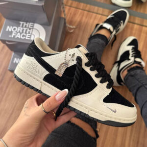 Dunk Low The north face Premium